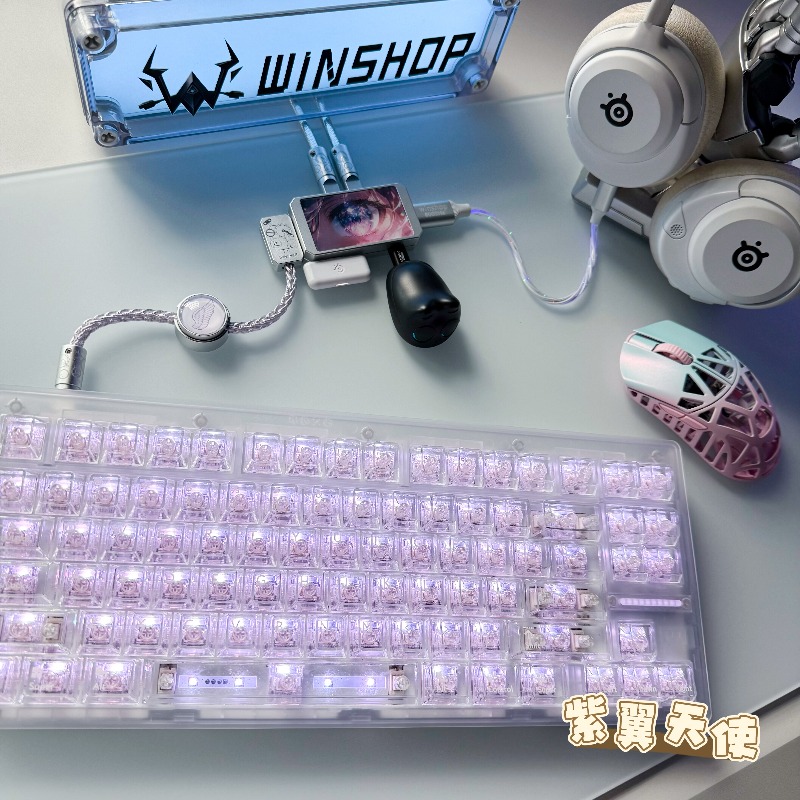 WINSHOP Esports HUB Dual-In 4- - Desk Setup Hub review and price